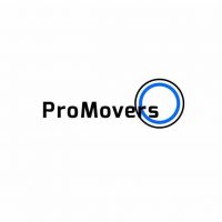 Pro Movers Miami LOGO 608x608 JPEG.jpg