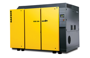 Kaeser, ESD series