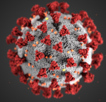 Responding to the Pandemic | COVID-19 COVID-19, Coronavirus, pandemic