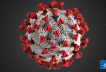 EPA Releases List of Disinfectants to Use Against COVID-19 COVID-19, coronavirus, EPA