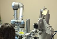 Automation-Enhanced Workforce