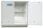 Acid Storage Cabinet