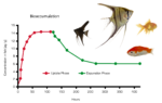 bioaccumulation_fish_graphic (oecd_305)